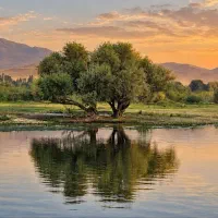 کارگرساده جهت چیدن سیب درمیاندواب شاهیندژ وبوکان