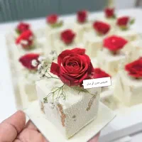 انواع کیک عقد و عروسی و تولد و موچی خانگی|خدمات پذیرایی، مراسم|زابل, |دیوار