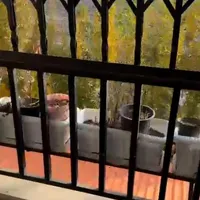 آپارتمان مسکن مهر ماهدشت