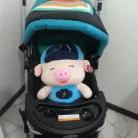 کالسکه دلیجان