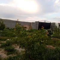 باغ-در-کوی-علی-آباد-صوفیان