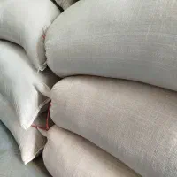 بذر شالی دم سیاه