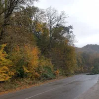 سرمایه گذاری طلایی،فروش مغازه درمنطقه آزادچالوس