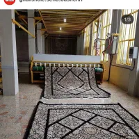 قالیشویی و مبل شویی سفید|خدمات نظافت|بوشهر, |دیوار