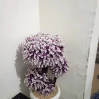 گلدان...3عدد