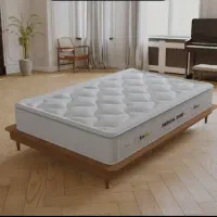 رویال مدرن