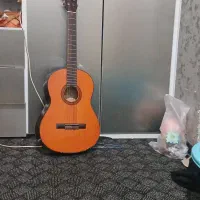 گیتار دایموند اصلی