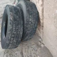 لاستیک|قطعات یدکی و لوازم جانبی|میان جلگه, |دیوار