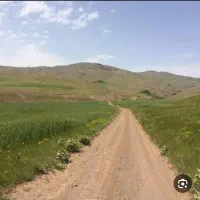زمین کشاورزی
