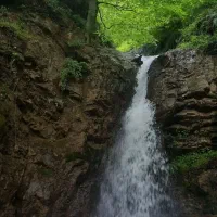 همسفر برای طبیعت|فعالیت داوطلبانه|رشت, چله خانه|دیوار