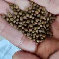 غذای ماهی|ماهی|قم, سراجه (۱۵ خرداد)|دیوار