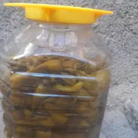 ترشی فلفل تند همدان