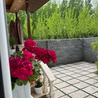 اجاره روزانه/هفتگی/ماهانه ویلا مناسب جشن ومهمانی|اجارهٔ کوتاه‌مدت ویلا و باغ|آستانه اشرفیه, |دیوار