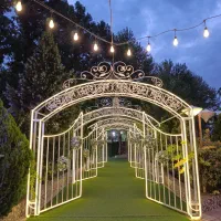 تشریفات مجالس رایان