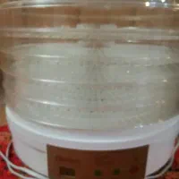 میوه و سبزی خشک کن دسینی