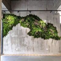 دیوار سبز خزه ای