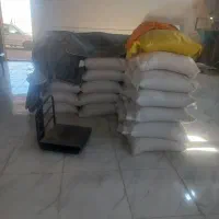برنج هاشمی اصل دره رودمغان