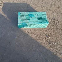 سبد آهنی راهکش|لوازم جانبی حیوانات|مرند, |دیوار