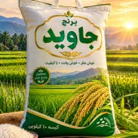 برنج با کیفیت و خوشپخت جاوید