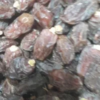 خرما کبکاب جنوب