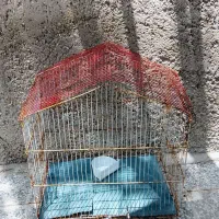 شادگان نهر وصله