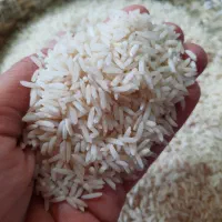 برنج هاشمی درجه یک