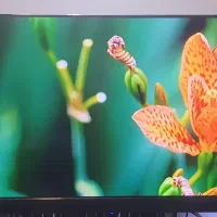 43 جی‌پلاس با گارانتی