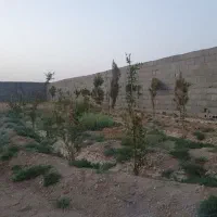 500متری