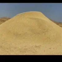 فروش کاه نخود