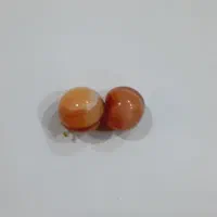 موکلدار