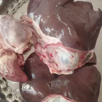 جگر گوسفند کشتار همین الان