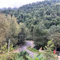 اجاره ویلا استخردار جنگلی بیلیارد 130|اجارهٔ کوتاهمدت ویلا و باغ|ماسال, |دیوار