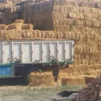 پرس گندم سایز بزرگ دپوشده آماده بارگیری