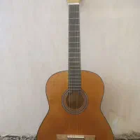 گیتار خوش صدا/شهریار/بی خط خش/با کاور