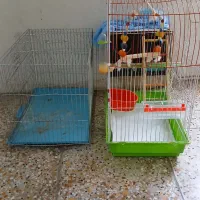 قفس پرنده