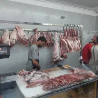 لاشه بره و لاشه میش.شنسل .سینه مرغ