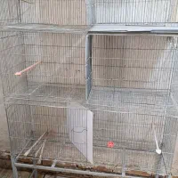 تعداد5یا6دست قفس پران بازاری جنس آبکاری نیکل