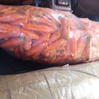 هویج درجه یک دزفول