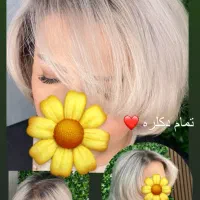 رنگ لایت پروتئین کراتین فردائم|خدمات آرایشگری و زیبایی|مشکیندشت, |دیوار