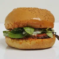 استخدام دو پیک موتوری