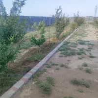 چهاردیواری۱۰۰۰متری شهرستانک