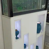 آکواریوم دکوری