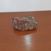 ماهی و آکواریوم