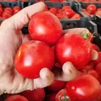 رب گوجه با بهترین طعم و کیفیت