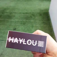 هندزفری ایر فری هایلو