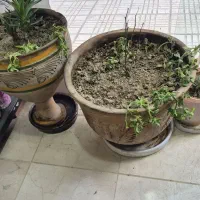 گلدان سفالی کارکرده درحد نو
