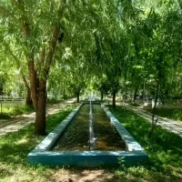 استخدام آشپز مسلط برتخته کاری وغذاهای ایرانی