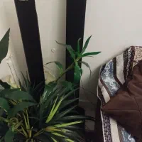 پنج عدد بلندگوی سونی