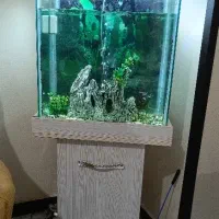 آکواریوم ایستاده ام دی اف