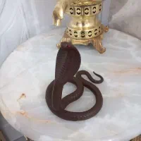 مار کبرای فیگور هنگ کنگ